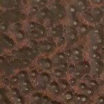 Copper Vein